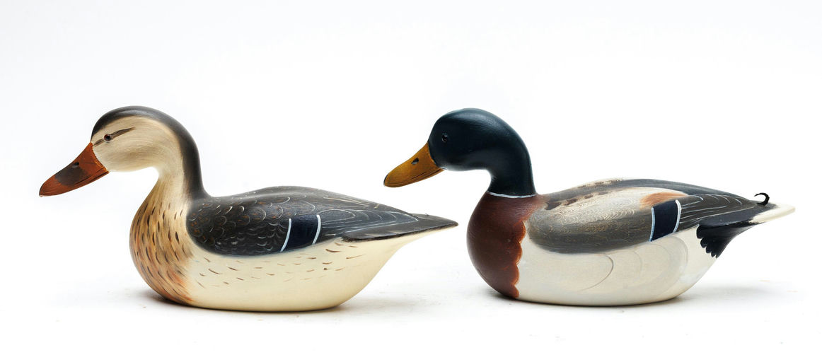 Robert Weeks – Mallard – 2026