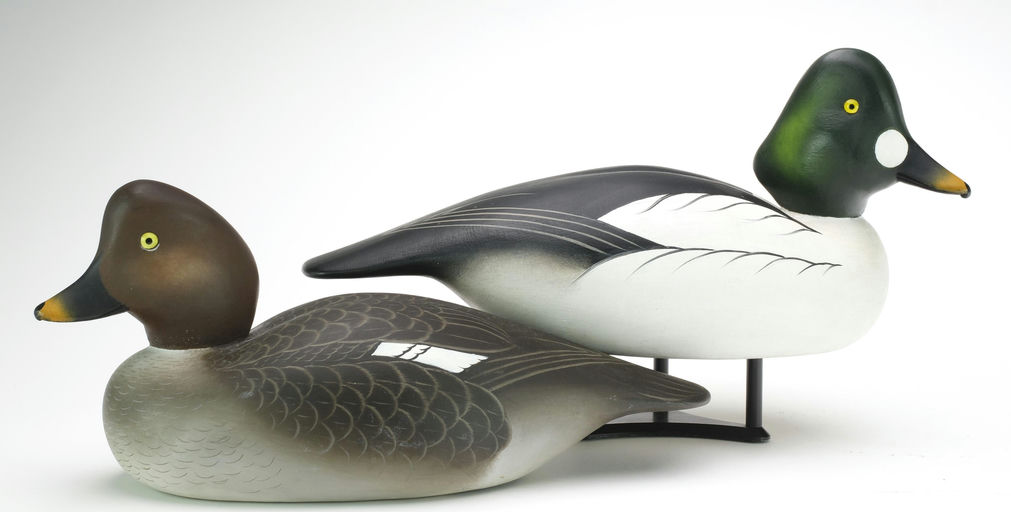 Charlie Joiner – Pair of Goldeneye – 2024