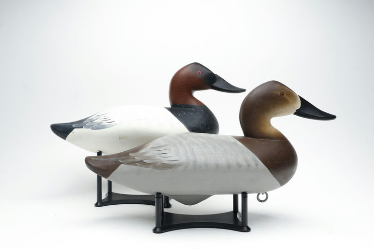 Charlie Joiner – Pair of Canvasback – 2026