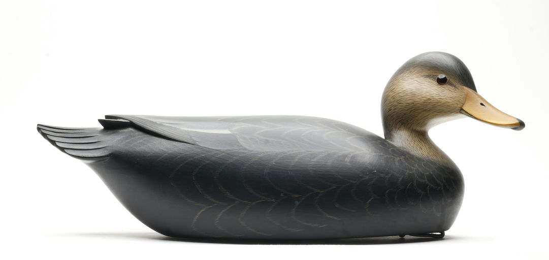 George Strunk – Black Duck – 2026