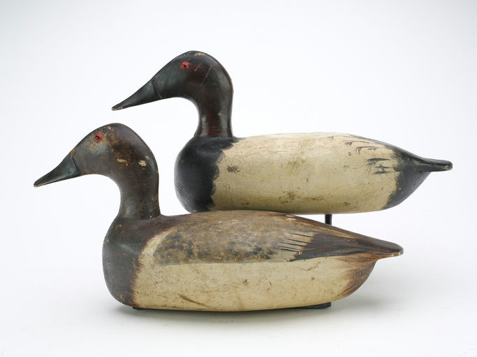 Bert Graves – Canvasback – 2024
