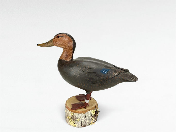 David Prime — Black Duck