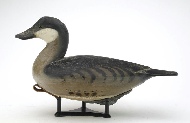 Pete Peterson – Ruddy Duck – 2024