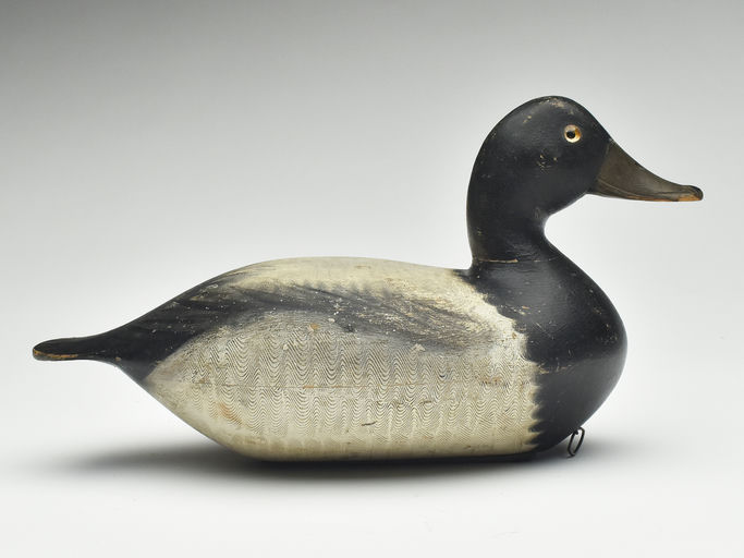 Robert Elliston – Bluebill – 2023