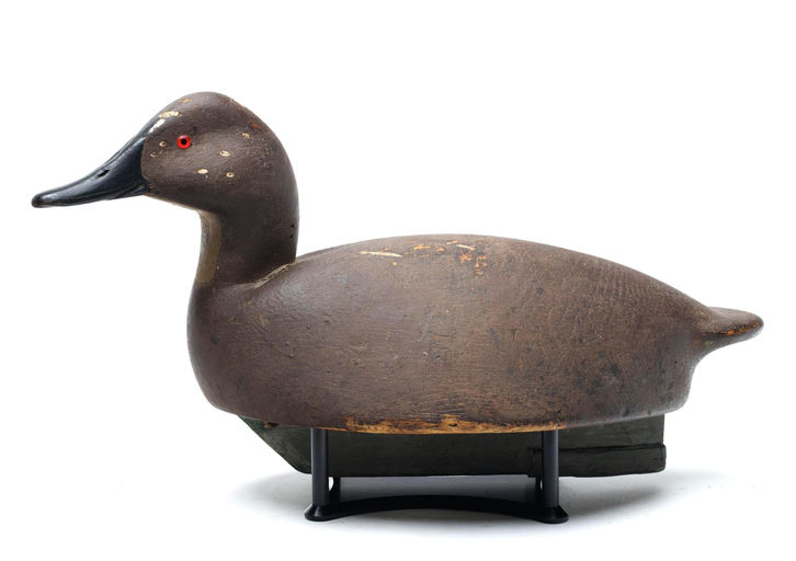 Ralph Reghi – Canvasback – 2026