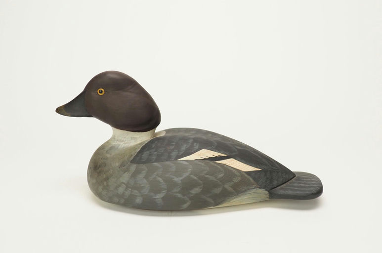 Dick Hollis — Goldeneye Hen