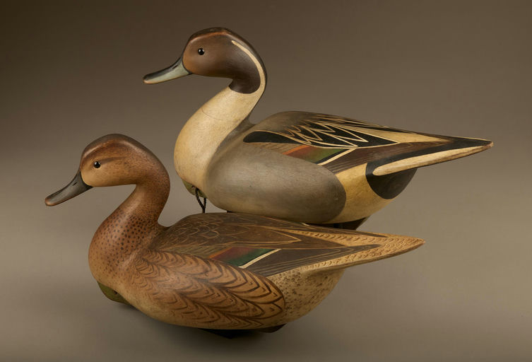 Cameron McIntyre – Pair of Pintail – 2025