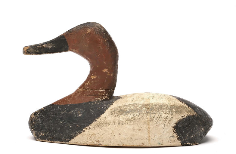 Duncan Ducharme – Canvasback – 2025