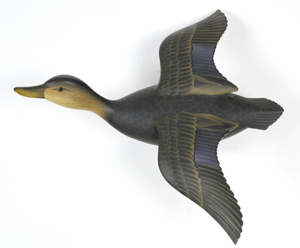 George Strunk – Black Duck – 2024