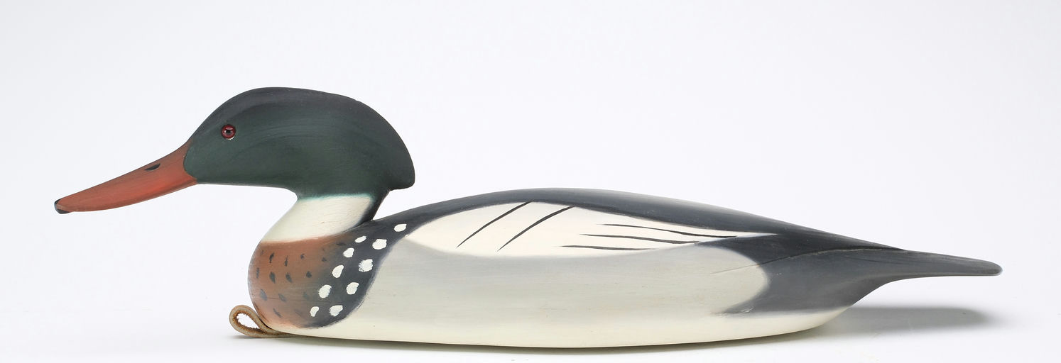 Pete Peterson – Red-breasted Merganser – 2024