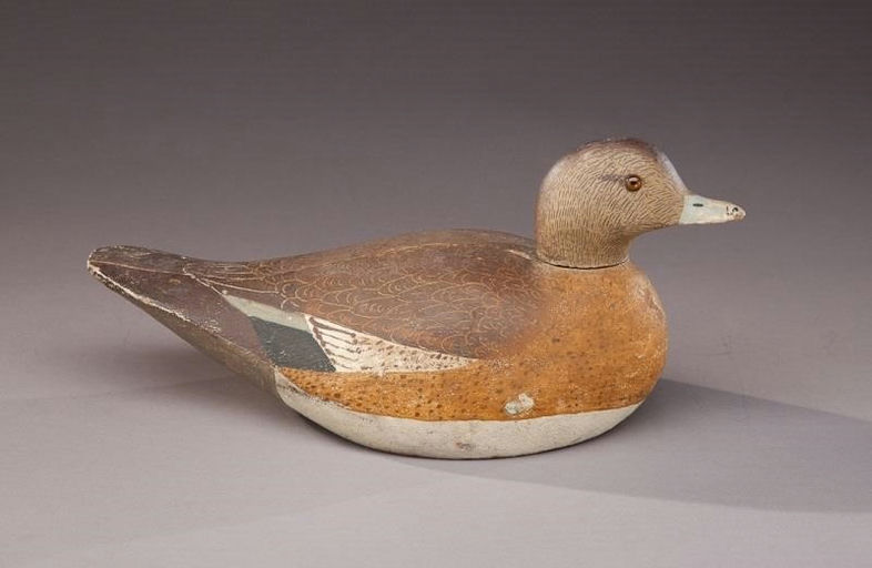 Lloyd Aaron Sterling – Wigeon Hen – 2013