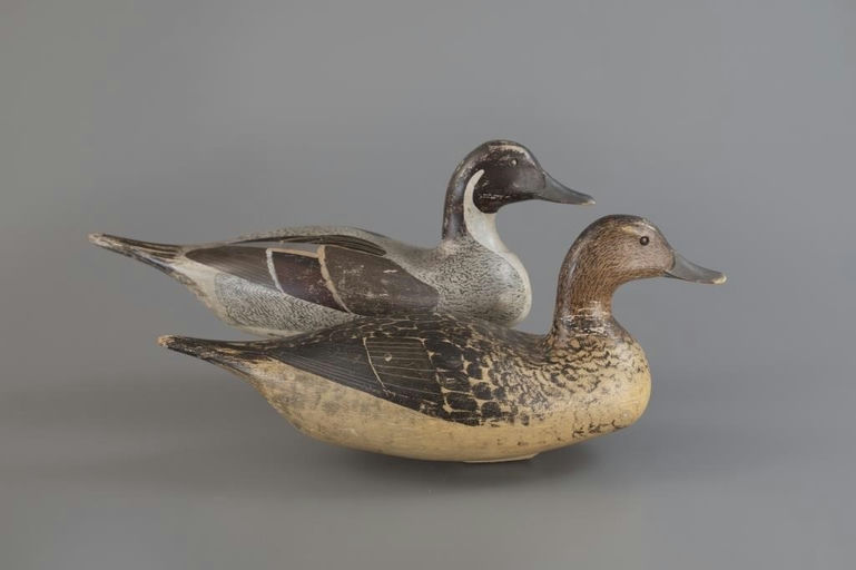 Clark Madera – Pintail Pair – 2025