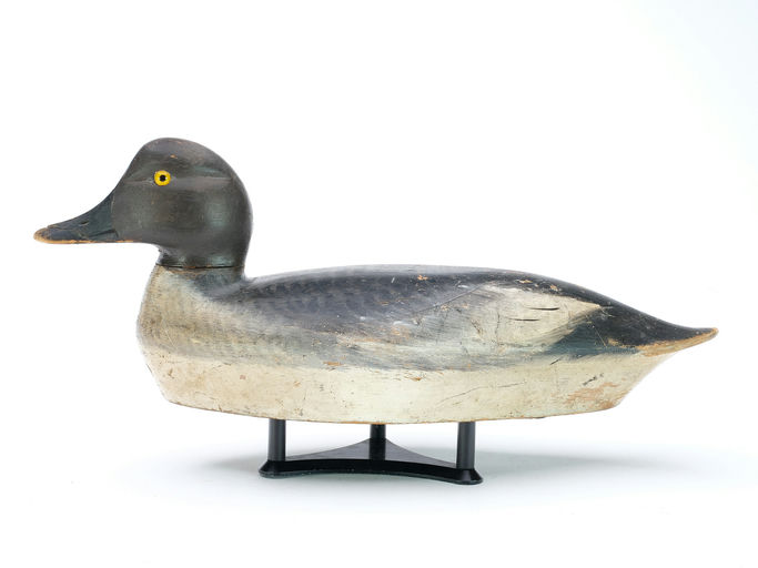 Chauncey Wheeler – Goldeneye – 2025