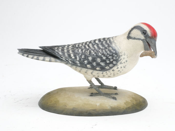 Frank Finney – Ladder-backed woodpecker – 2023