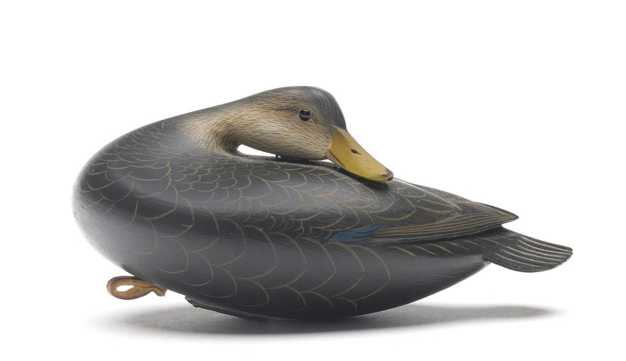 George Strunk – Miniature Preening Black Duck – 2026