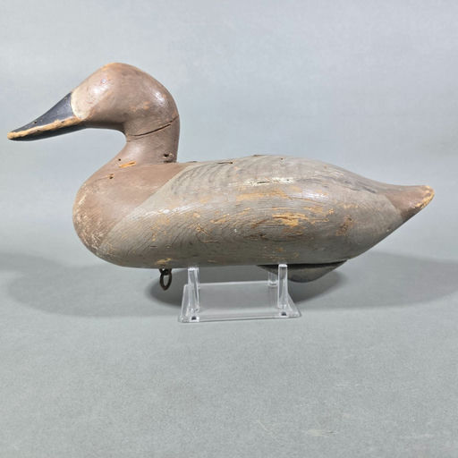 R. Madison Mitchell – Canvasback – 2026