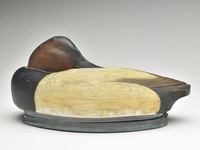 Tom Schroeder – Canvasback – 2023