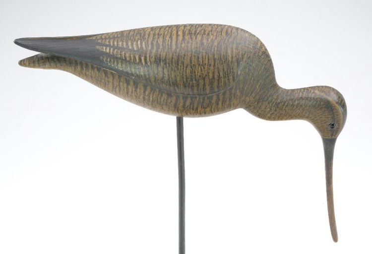 Mark McNair – Feeding Godwit – 2023