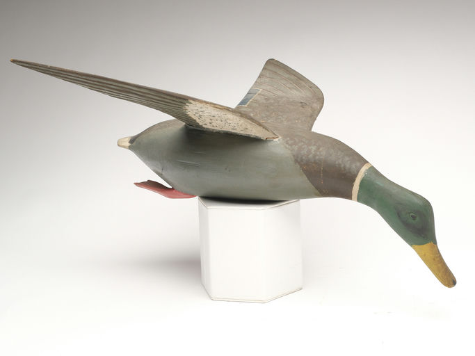 Gus Wilson – Mallard Drake – 2023