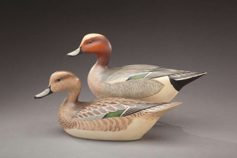 Frank C. Willis – Eurasian Widgeon Pair – 2012