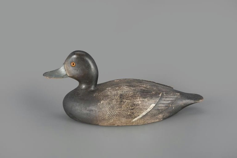 Nichol Family – Bluebill Hen – 2025