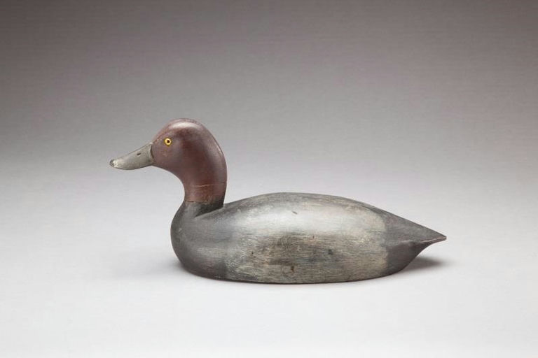 Thomas Chambers – Redhead Drake – 2013