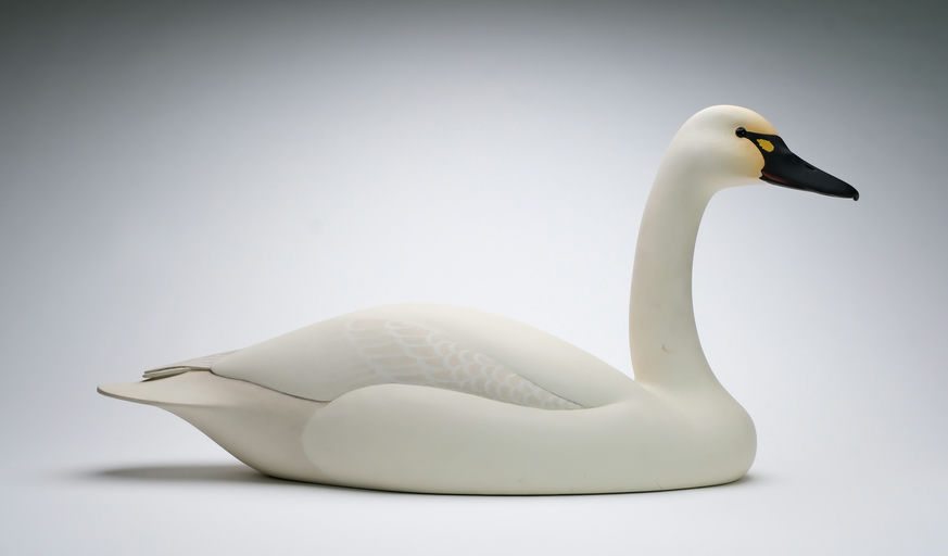 Oliver Lawson – Whistling Swan – 2025
