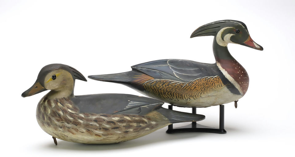 Reggie Birch – Wood Duck – 2025