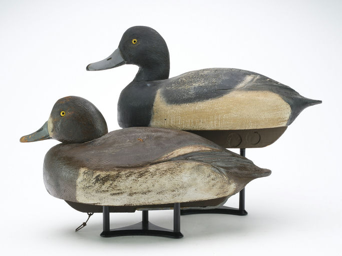 Ben Schmidt – Pair of Bluebills – 2024