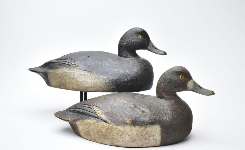 Ben Schmidt – Pair of Bluebill – 2025