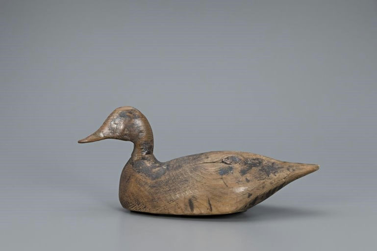 L. Travis Ward Sr. – Black Duck – 2019