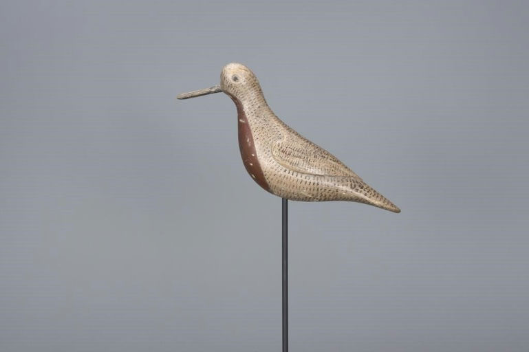 Verity Family – Red Knot – 2017
