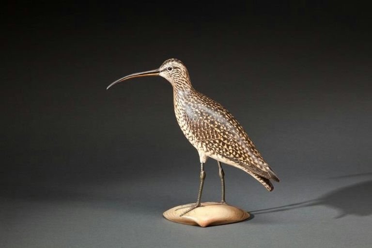 Elmer Crowell – Curlew – 2015