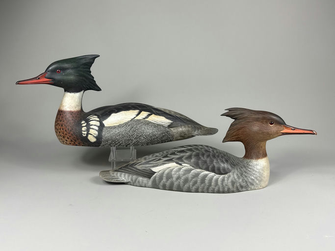 Don Briddell – Merganser – 2026