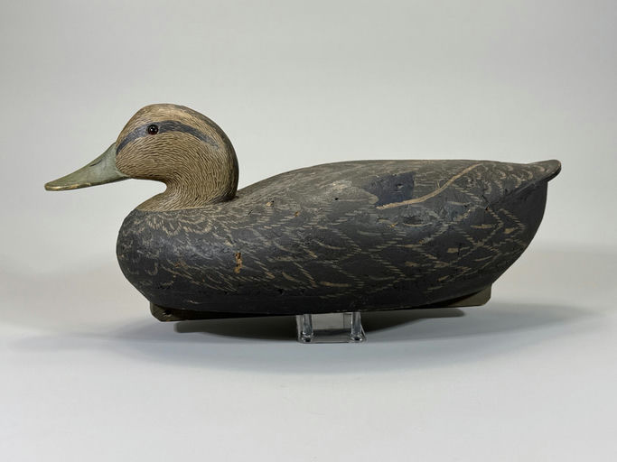 R. Madison Mitchell – Black Duck – 2026