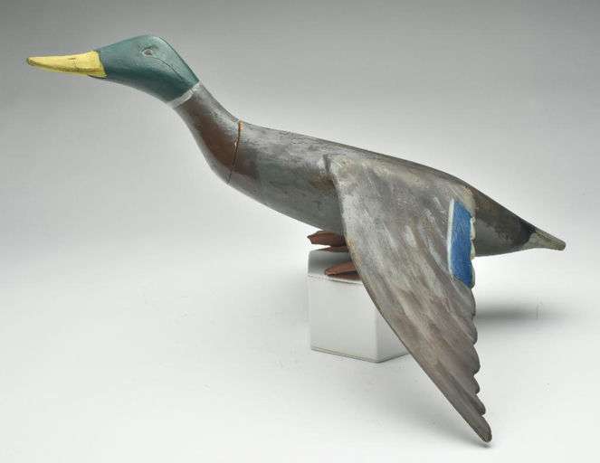 Gus Wilson – Mallard Drake – 2023