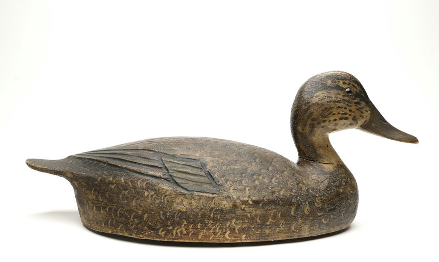 Ben Schmidt – Black Duck Hen – 2026