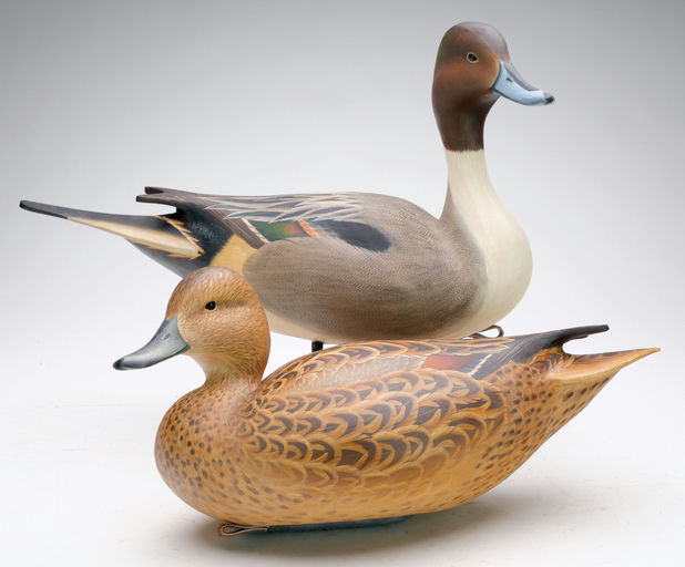 Ben A. Heinemann – Pintail – 2024