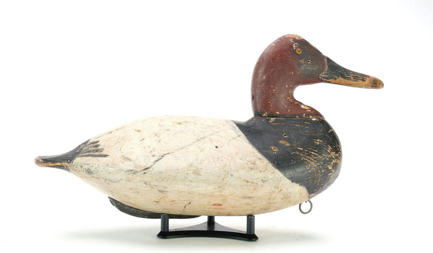 William Heverin – Canvasback – 2025