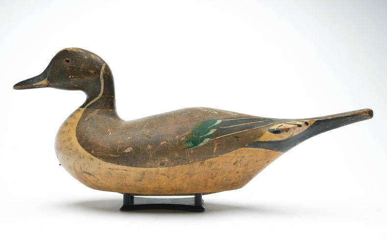 Charles Bergman – Pintail – 2026