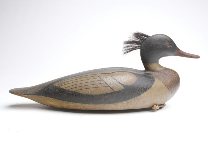 Mark McNair – Oversized Merganser – 2023