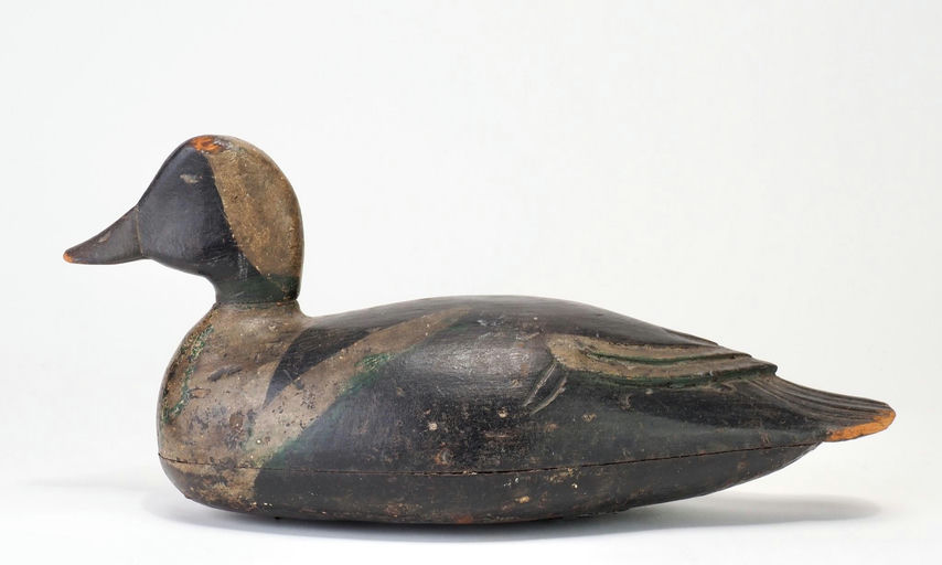 Joe Savko — Rare Bufflehead Drake