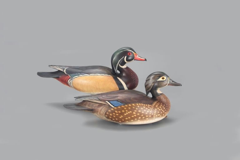 Bill Gibian – Wood Duck Pair – 2021