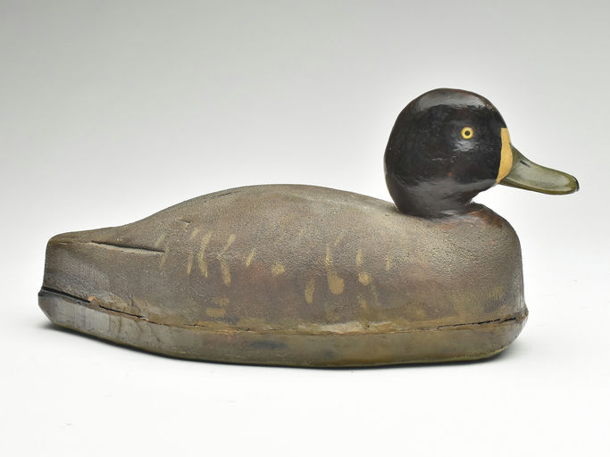 Tom Schroeder – Scaup – 2023