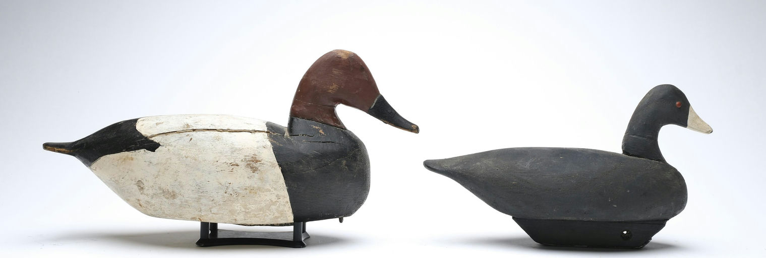 Miles Hancock – Canvasback – 2026