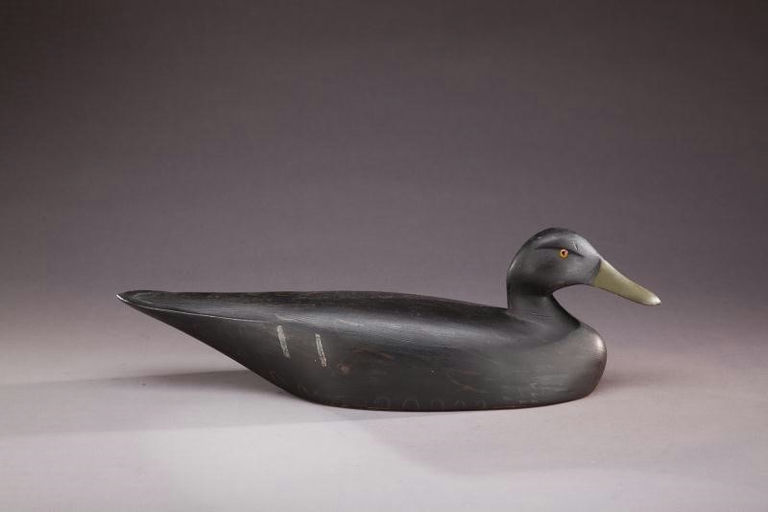 Sam Denny – Black Duck – 2012