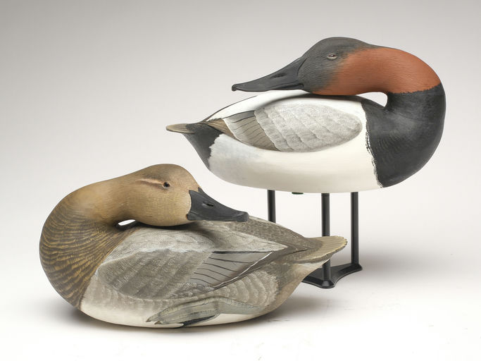 Corb Reed – Canvasback – 2023