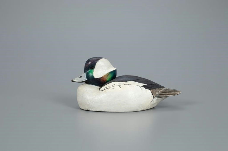 Jim Foote – Bufflehead – 2020