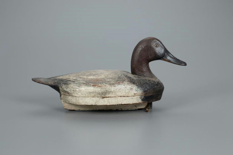 Ben Schmidt – Canvasback – 2020