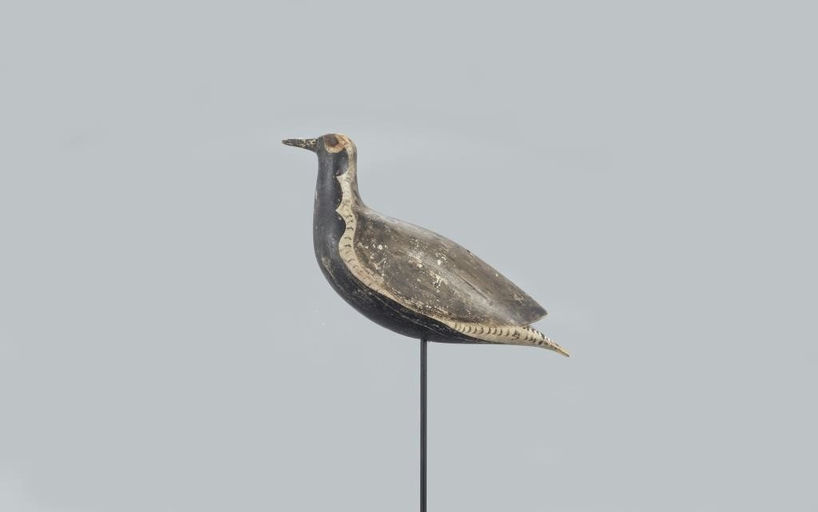 Captain Eldridge – Important Black-bellied Plover – 2022